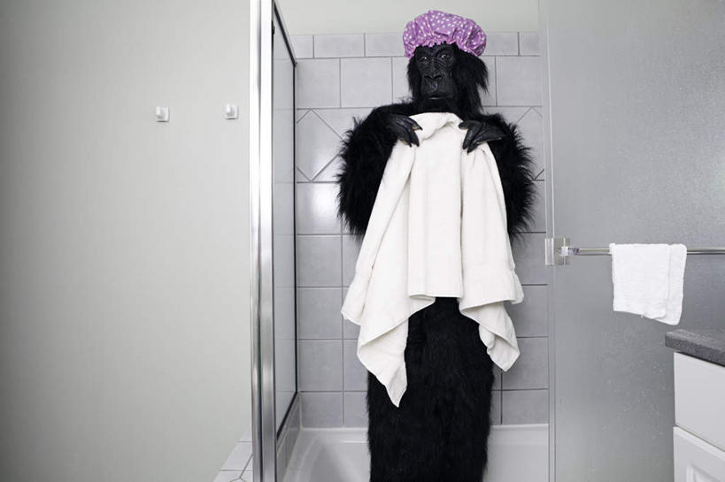 无人,站,举,横图,室内,白天,正面,卫生间,浴室,哺乳动物,猴,野生动物,猴子,握,纺织物,浴巾,浴帽,拿,拿着,注视,一只,白色,黑色,动物,毛巾,观察,看,清洁,托,站着,可爱,握着,活泼,观看,保暖,怪异,察看,关注,透气,防水,独特,储水,耐磨,吸水,淋浴房,举起,举手,举着,向上举,向上伸,向上托,站立,半身,彩图,冲凉房,沐浴间,沐浴室