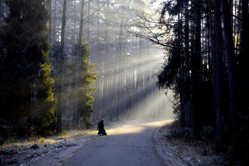 横图,室外,白天,正面,旅游,度假,美景,树林,植物,道路,路,阴影,光线,影子,景观,小路,交通,凌晨,清晨,娱乐,树,树木,蓝色,绿色,蓝天,天空,阳光,自然,天,享受,休闲,景色,放松,乡间小路,生长,晴朗,成长,早晨,自然风光,万里无云,晴空,晴空万里,半身,彩图