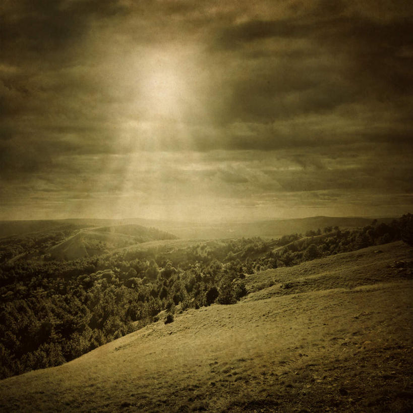 无人,方图,室外,白天,正面,旅游,草地,草原,草坪,美景,树林,田园,植物,阴影,光线,影子,地平线,景观,辽阔,地面,山谷,草,树,树木,绿色,阳光,自然,广阔,景色,生长,成长,一望无际,昏暗,自然风光,延伸,天地相交,广大,广宽,空阔,无边无际,一马平川,彩图,游览