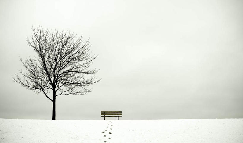 无人,横图,室外,白天,正面,旅游,度假,安全,美景,雪,植物,大雪,椅子,一排,许多,脚印,整齐,平静,长椅,木椅,积雪,景观,雪地,雪景,冬季,冬天,枯树,很多,娱乐,树,树木,排列,一个,绿色,白色,自然,享受,休闲,景色,放松,寒冷,迷茫,生长,单个,成长,宁静,足迹,队列,自然风光,和平,安详,严寒,行踪,脚迹,太平,安适,安好,宁靖,苍茫,渺茫,彩图