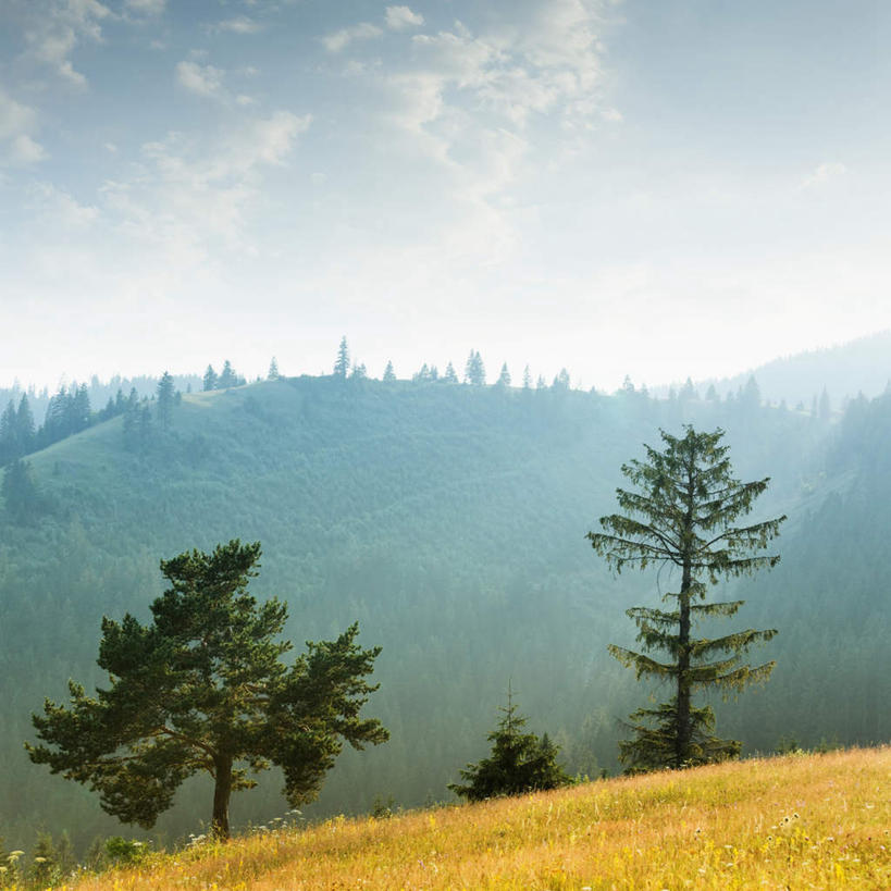 无人,农场,方图,室外,白天,正面,旅游,度假,畜牧业,牧场,石头,美景,森林,山,山脉,树林,植物,松树,欧洲,乌克兰,石子,景观,山峰,云,云朵,山峦,云彩,娱乐,树,树木,蓝色,绿色,白云,蓝天,天空,自然,群山,天,享受,休闲,景色,放松,生长,晴朗,成长,自然风光,坚定,东欧,畜牧,牧业,长寿,贞洁,乌克兰共和国,石块,岩石,晴空,彩图