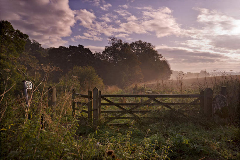无人,栏杆,横图,室外,白天,正面,草地,植物,指示牌,英国,欧洲,阴影,光线,标志,文字,影子,栅栏,篱笆,云,云朵,围栏,凌晨,清晨,云彩,标识,护栏,英格兰,草,树,树木,蓝色,绿色,白云,蓝天,天空,阳光,自然,天,生长,晴朗,成长,早晨,西欧,大不列颠,大不列颠及北爱尔兰联合王国,大不列颠联合王国,日不落英帝国,英吉利,晴空,彩图