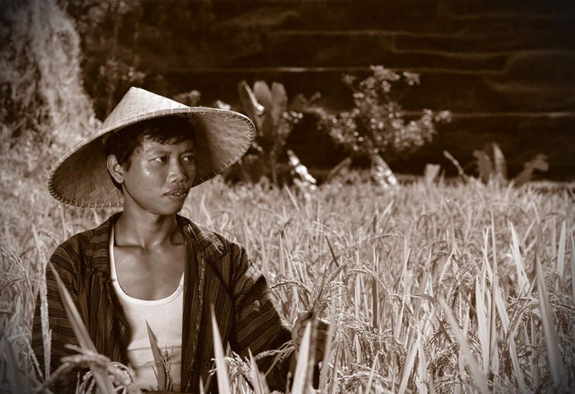 东方人,一个人,农田,栏杆,站,横图,室外,白天,正面,农业,庄稼,农作物,草地,石头,植物,楼梯,帽子,亚洲,仅一个男性,仅一个人,服装,朦胧,模糊,扶手,石子,阶梯,稻田,扭头,注视,休闲装,黄种人,护栏,台阶,斗笠,草,仅一个年轻男性,衣服,绿色,遮阳帽,观察,看,站着,转头,休闲,休闲服,服饰,观看,察看,关注,男人,男性,年轻男性,亚洲人,石块,岩石,站立,半身,彩图,耕地,庄稼田