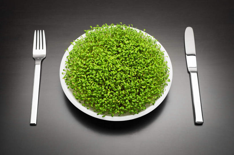 无人,横图,室内,白天,正面,植物,餐具,碟子,工具,盘,草药,药草,刀具,中药,灰色,盘子,碟,刀,清晰,餐刀,药材,中草药,中药材,本草,彩图