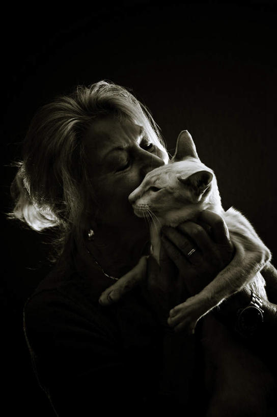 西方人,一个人,坐,抱,摸,吻,竖图,阶调图片,室内,白天,侧面,宠物,猫,欧洲,欧洲人,仅一个女性,仅一个人,抚摸,黑色背景,暹罗猫,一只,动物,可爱,仅一个老年女性,抱着,搂着,猫咪,泰国猫,西母猫,老年女性,女人,女性,白种人,触摸,接触,搂,搂抱,亲,亲吻,坐着,半身,彩图