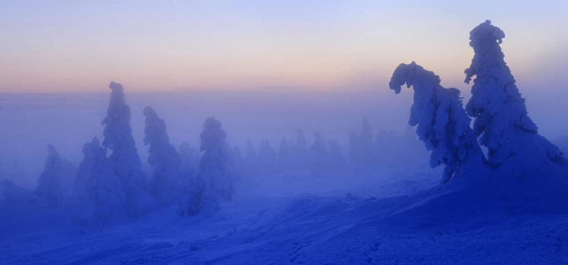 无人,横图,全景,室外,白天,正面,旅游,度假,北极,日出,美景,森林,树林,太阳,雪,植物,雾,大雪,朦胧,模糊,积雪,景观,雪景,云,云朵,冬季,冬天,朝霞,晨曦,黎明,云彩,娱乐,树,树木,蓝色,绿色,白云,蓝天,天空,阳光,自然,天,享受,休闲,景色,放松,寒冷,生长,晴朗,成长,迷雾,自然风光,严寒,北极地区,北极区,北极圈,朝阳,大雾,晴空,彩图,破晓