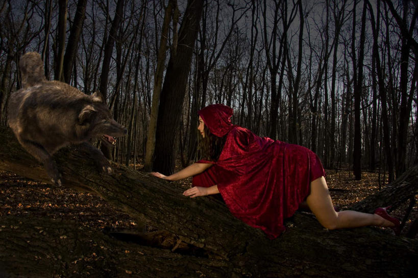 西方人,一个人,横图,室外,夜晚,侧面,森林,树林,植物,狼,野生动物,欧洲,欧洲人,仅一个年轻女性,仅一个女性,仅一个人,注视,树,树木,红色,绿色,自然,动物,观察,看,趴着,生长,成长,观看,察看,关注,凶猛,斗篷,大氅,残暴,凶残,年轻女性,女人,女性,白种人,灰狼,趴,彩图,全身,犬科动物