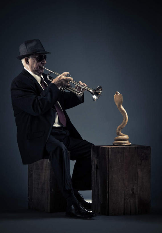 西方人,一个人,商务人士,商务男性,坐,竖图,室内,白天,侧面,衬衫,野生动物,帽子,欧洲,欧洲人,仅一个男性,仅一个人,套装,爬行动物,蛇,乐器,铜管乐器,小号,弹奏,注视,礼帽,仅一个年轻男性,动物,低头,观察,看,观看,察看,有毒,关注,冷血动物,铜管,商务装,凶猛,脊椎动物,长虫,工薪阶层,眼镜蛇,开普珊瑚蛇,珊瑚眼镜蛇,残暴,凶残,男人,男性,年轻男性,白种人,白领,上班族,坐着,彩图,全身,衬衣,冷血