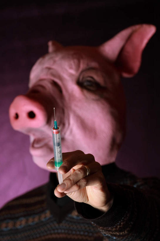 无人,站,竖图,室内,特写,白天,正面,猪,握,紫色背景,拿,拿着,一只,动物,站着,针管,针筒,家畜,握着,注射,摄影,牲畜,影棚,医疗,医疗设备,病毒,注射器,甲型流感病毒,流感病毒,A型流感病毒,妆扮,站立,半身,彩图,影棚拍摄,打扮,装扮,拍摄