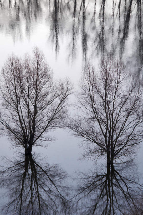 无人,竖图,俯视,室外,白天,旅游,度假,湖,湖泊,美景,水,植物,欧洲,乌克兰,许多,阴影,光线,影子,湖面,景观,水流,水面,枯树,枝条,很多,凌乱,娱乐,树,树木,树枝,倒影,阳光,自然,湖水,享受,休闲,景色,放松,倒映,混乱,自然风光,东欧,乌克兰共和国,纷乱,缭乱,庞杂,反照,虬枝,枝杈,彩图,高角度拍摄