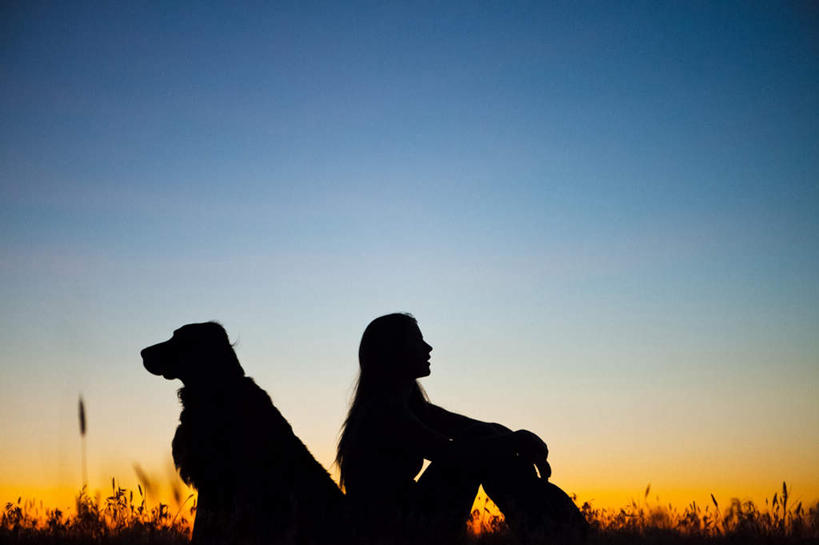 西方人,一个人,坐,横图,室外,白天,侧面,旅游,度假,安全,美景,植物,宠物,狗,欧洲,欧洲人,仅一个年轻女性,仅一个女性,仅一个人,阴影,服装,枯萎,光线,影子,景观,枯草,猎犬,背光,依靠,注视,休闲装,娱乐,草,一只,衣服,黄色,蓝色,蓝天,天空,阳光,自然,黄昏,动物,天,观察,看,倚靠,背靠背,享受,休闲,休闲服,景色,放松,可爱,背对背,服饰,晴朗,观看,察看,关注,自然风光,逆光,忠诚,万里无云,薄暮,爱尔兰猎狼犬,信任,年轻女性,女人,女性,白种人,晴空,晴空万里,犬,坐着,半身,彩图,傍晚