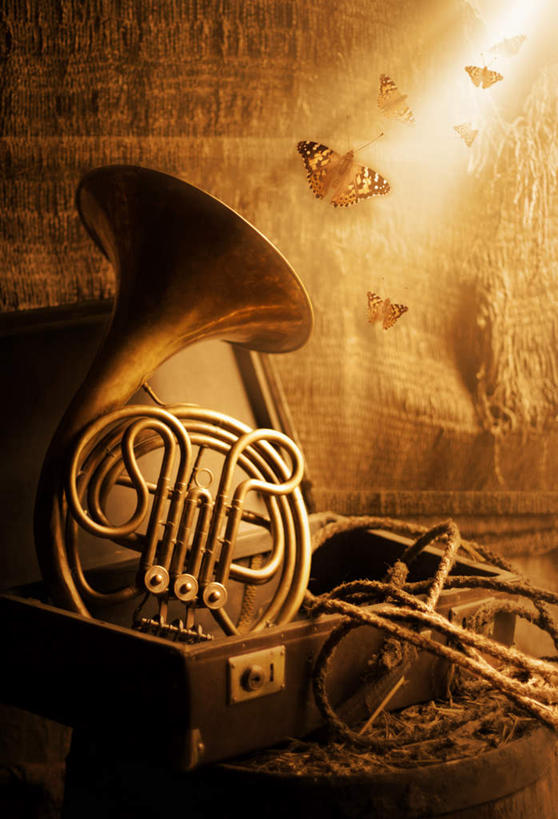 无人,竖图,室内,白天,正面,蝴蝶,许多,飞翔,伸展,张开,展翅,阴影,梦幻,发光,飞行,光束,光线,翅膀,昆虫,拉杆箱,旅行箱,木桶,影子,乐器,铜管乐器,圆号,光亮,很多,翱翔,注视,飞舞,墙壁,阳光,动物,绳子,行李箱,箱子,观察,看,观看,出差,绳索,察看,法国号,未来,关注,发亮,铜管,益虫,憧憬,张开翅膀,遨游,漫游,展开翅膀,彩图,全身,旅行