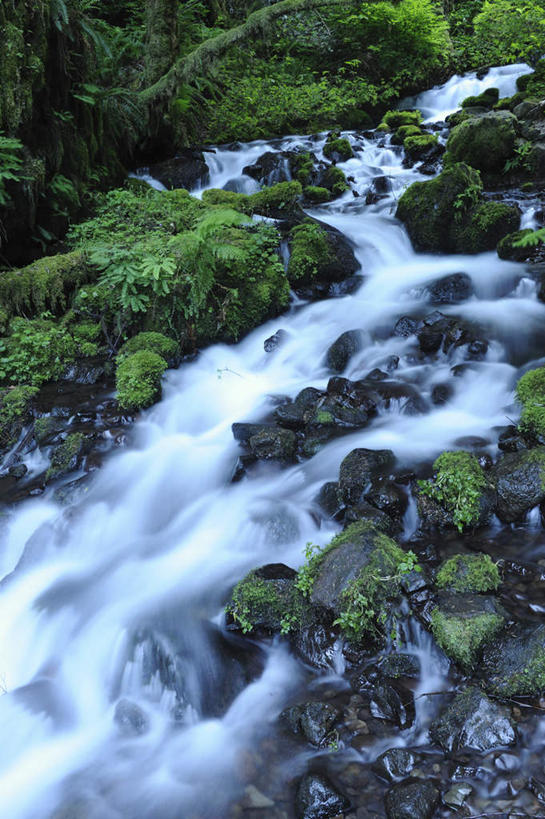 无人,竖图,室外,白天,仰视,旅游,度假,河流,石头,美景,水,美国,石子,河水,景观,水流,娱乐,小溪,自然,溪水,享受,休闲,景色,放松,北美,北美洲,自然风光,美洲,俄勒冈州,俄勒冈,北亚美利加洲,亚美利加洲,落日之州,水獭之州,海狸州,石块,岩石,彩图,低角度拍摄