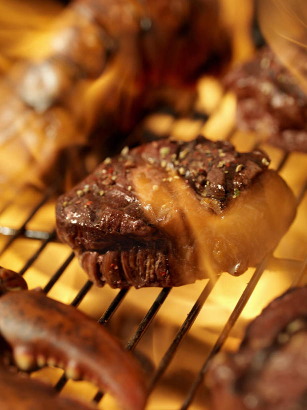 无人,竖图,俯视,室内,特写,白天,烧烤,一排,切开,阴影,整齐,光线,影子,肉,烤架,烤肉,肉类,排列,阳光,切,铁架,队列,剖面,肉食,切面,彩图,高角度拍摄