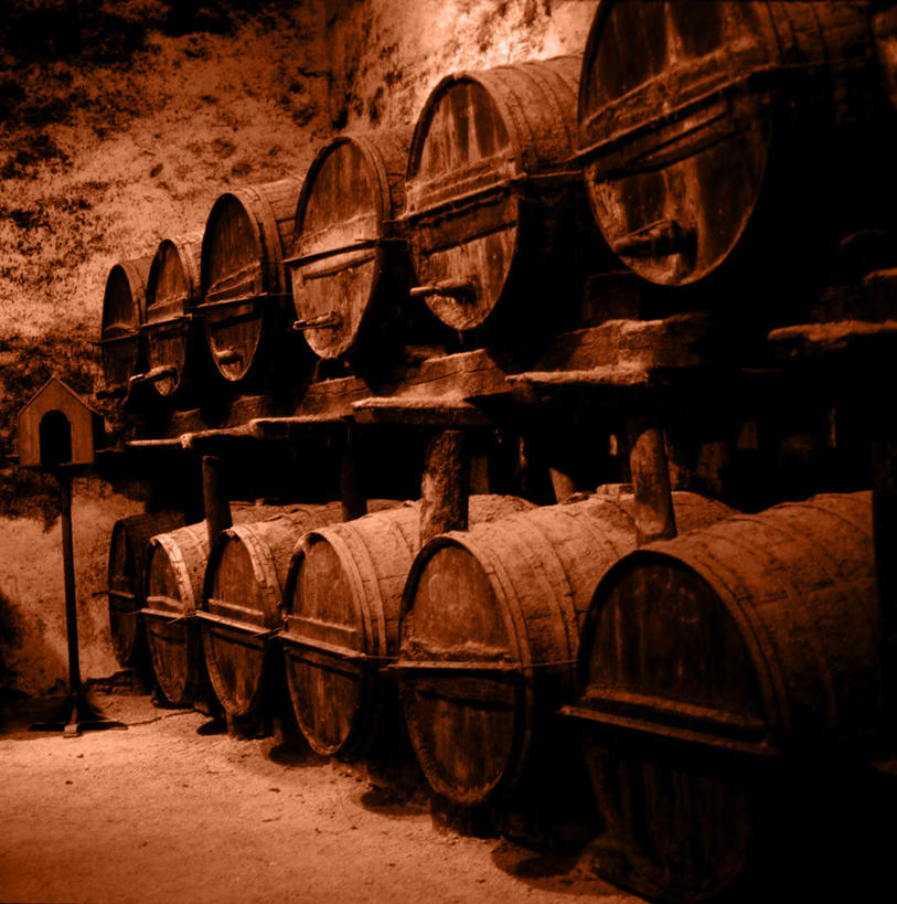 红酒,葡萄酒,无人,竖图,室内,白天,正面,一排,阴影,破旧,整齐,陈旧,光线,木桶,影子,灯光,酒类,酒窖,酒,饮料,排列,容器,红葡萄酒,储蓄,储藏,储存,队列,酿酒,陈腐,储备,蕴藏,贮备,彩图,贮存