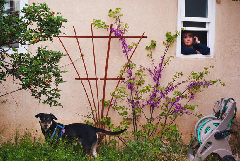 西方人,一个人,站,打电话,横图,室外,白天,正面,植物,窗户,宠物,狗,电话,欧洲,欧洲人,仅一个女性,仅一个人,许多,阴影,盛开,光线,影子,墙,通讯设备,玻璃窗,墙壁,墙面,花,花瓣,花朵,花卉,鲜花,一只,阳光,动物,话筒,花蕊,站着,电话线,可爱,仅一个老年女性,除草机,忠诚,交流,老年女性,女人,女性,白种人,电话机,犬,沟通,通话,站立,半身,彩图