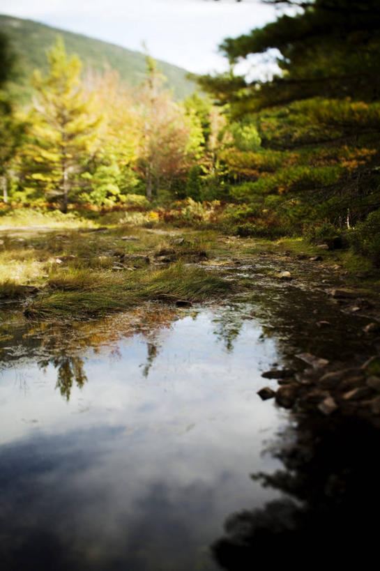 无人,公园,竖图,室外,白天,正面,旅游,度假,草地,草坪,湖,湖泊,美景,山,山脉,树林,水,植物,美国,阴影,光线,影子,湖面,景观,山峰,水流,水面,山峦,娱乐,草,树,树木,蓝色,绿色,倒影,蓝天,天空,阳光,自然,湖水,群山,天,享受,休闲,景色,放松,生长,晴朗,成长,倒映,北美,北美洲,国家公园,自然风光,美洲,缅因州,阿卡迪亚国家公园,万里无云,北亚美利加洲,亚美利加洲,缅因,松林之州,反照,晴空,晴空万里,彩图,阿科底亚国家公园,美利坚合众国,山沙岛