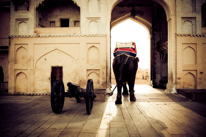 无人,走,横图,室外,白天,旅游,度假,竞争,名胜古迹,标志建筑,道路,地标,建筑,路,哺乳动物,大象,野生动物,印度,亚洲,一头,对抗,阴影,遗迹,冲突,光线,影子,墙,小路,交通,古迹,破坏,文物,娱乐,建设,古建筑,墙壁,墙面,背面,阳光,动物,享受,休闲,大炮,武器,旅游胜地,放松,战争,损坏,攻击,威胁,对立,矛盾,兵器,南亚,防御,亚洲象,古文明,首府,拉贾斯坦邦,拉贾斯坦,印度共和国,琥珀堡,敌对,挫败,斗争,抗拒,抗衡,杀伤,威慑,红粉之城,斋普尔,印度象,危险,象,步行,散步,走路,彩图,全身