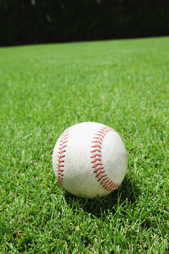 无人,体育馆,运动场,竖图,室外,特写,白天,正面,草地,草坪,植物,阴影,光线,影子,运动器械,体育场,球,草,一个,绿色,阳光,健身器械,单个,健身器材,板球,运动馆,彩图,运动器材