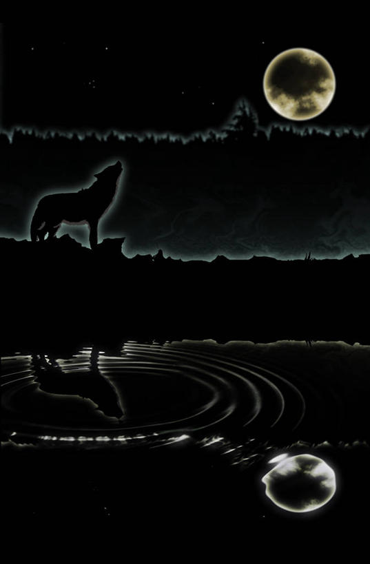 无人,站,竖图,室外,夜晚,侧面,湖,湖泊,水,狼,野生动物,咆哮,波纹,湖面,水流,水面,月亮,涟漪,月光,背光,一只,倒影,水纹,动物,波浪,湖水,站着,张嘴,明亮,倒映,凶猛,逆光,张大嘴巴,怒吼,水晕,皎洁,呼啸,狂嗥,反照,残暴,凶残,张开嘴,灰狼,站立,彩图,全身,犬科动物