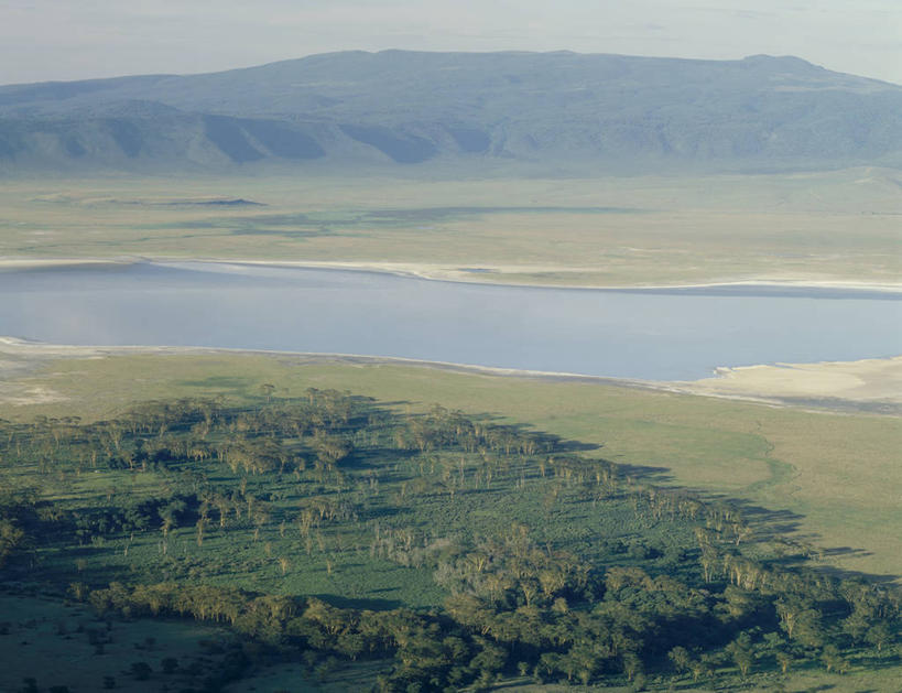 无人,横图,俯视,室外,白天,旅游,度假,草地,草坪,河流,美景,水,植物,非洲,坦桑尼亚,阴影,光线,影子,河水,景观,水流,娱乐,草,树,树木,蓝色,绿色,蓝天,天空,阳光,自然,天,享受,休闲,景色,放松,生长,晴朗,成长,自然风光,万里无云,阿鲁沙区,东非,恩戈罗恩戈罗保护区,恩戈罗恩戈罗自然保护区,坦桑尼亚联合共和国,晴空,晴空万里,彩图,高角度拍摄