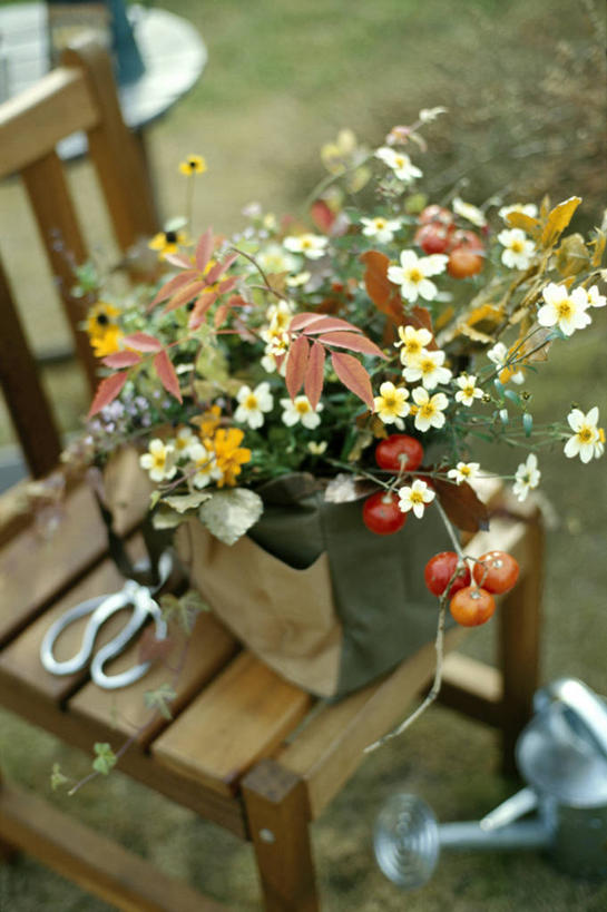 无人,竖图,俯视,室外,白天,智慧,秋季,椅子,一把,许多,修剪,阴影,艺术,装饰,盛开,光线,工具,壶,剪刀,影子,园艺工具,木椅,园艺,很多,花蕾,洒水壶,文化,水壶,花,花瓣,花朵,鲜花,一个,阳光,插花,花苞,花蕊,单个,裁剪,华丽,修饰,插花艺术,点缀,剪子,创造,剪裁,切割,创作,想象,衬托,美观,雅致,雅观,浇水壶,篱笆剪,整篱剪,秋,秋天,彩图,高角度拍摄,大平剪,绿篱剪