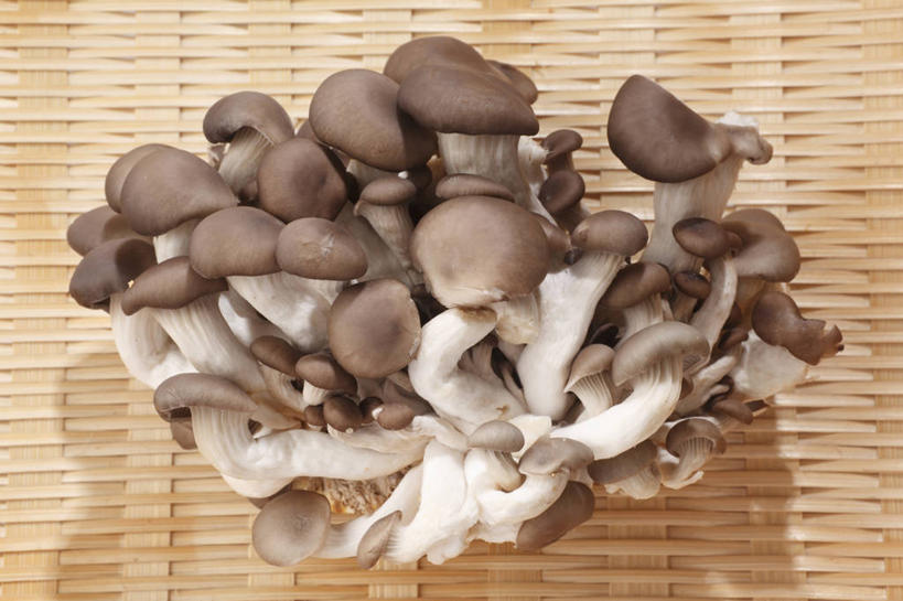 无人,横图,俯视,室内,特写,白天,蔬菜,一堆,许多,堆叠,堆积,新鲜,扁担,菌菇,食品,很多,菌类,平菇,食物,食用菌,有机食品,绿色食品,堆,真菌,农具,糙皮侧耳,侧耳,黑牡丹菇,竹木用具,彩图,高角度拍摄