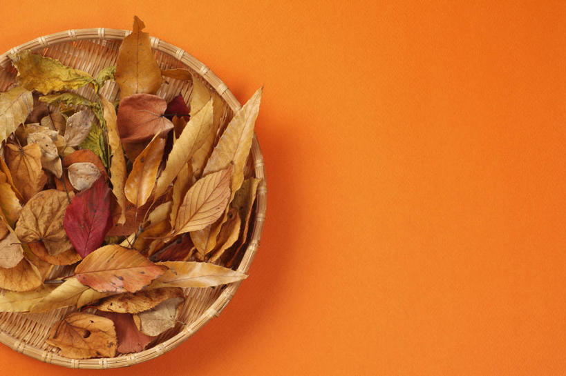 无人,横图,俯视,室内,特写,白天,秋季,叶子,一堆,许多,橙色背景,堆叠,堆积,扁担,枯叶,落叶,很多,摄影,影棚,堆,农具,竹木用具,叶,叶片,秋,秋天,彩图,高角度拍摄,影棚拍摄,拍摄