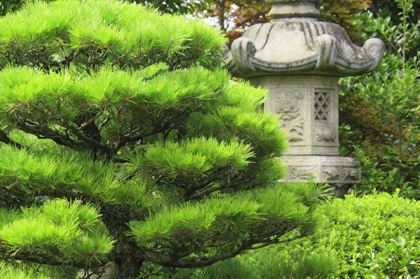 无人,横图,室外,白天,正面,旅游,度假,河流,美景,树林,水,植物,松树,照明,奈良县,日本,亚洲,河水,景观,水流,灯光,娱乐,灯,树,树木,绿色,小溪,自然,灯具,溪水,享受,休闲,景色,放松,生长,成长,照亮,照明设备,自然风光,坚定,东亚,本州,本州岛,日本国,近畿地方,奈良,近畿,长寿,贞洁,彩图,石灯