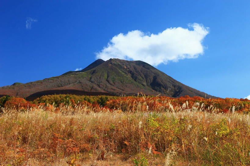 无人,横图,室外,白天,正面,旅游,度假,美景,秋季,山,山脉,植物,叶子,日本,亚洲,许多,阴影,枯萎,光线,影子,景观,山峰,云,云朵,枯草,枯叶,落叶,山峦,很多,云彩,娱乐,草,黄色,蓝色,白云,蓝天,天空,阳光,自然,群山,天,享受,休闲,景色,放松,晴朗,自然风光,东亚,本州,本州岛,日本国,青森,青森县,东北地方,弘前,弘前市,叶,叶片,晴空,秋,秋天,彩图,岩木山