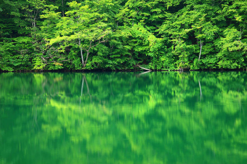 无人,横图,室外,白天,正面,旅游,度假,美景,树林,植物,长野县,日本,亚洲,阴影,光线,影子,池塘,景观,水池,娱乐,树,树木,绿色,倒影,阳光,自然,享受,休闲,景色,放松,生长,成长,倒映,自然风光,东亚,本州,本州岛,日本国,中部地方,长野,反照,北安,北安昙郡,彩图,小谷村