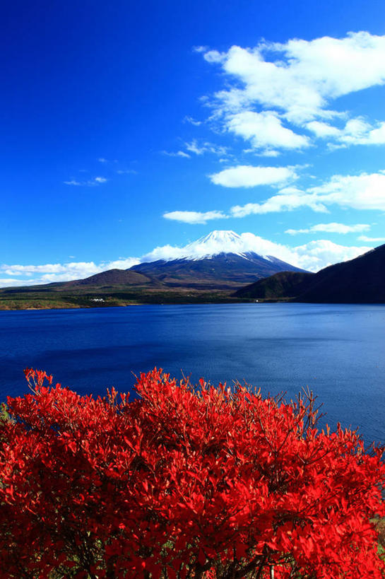 无人,竖图,室外,白天,正面,旅游,度假,湖,湖泊,火山,美景,秋季,山,山脉,水,叶子,富士山,日本,亚洲,许多,阴影,光线,影子,湖面,景观,山峰,水流,水面,云,云朵,枯叶,落叶,山峦,很多,云彩,娱乐,红色,蓝色,白云,蓝天,天空,阳光,自然,湖水,群山,天,享受,休闲,景色,放松,晴朗,自然风光,东亚,本州,本州岛,日本国,中部地方,山梨,山梨县,富士五湖,叶,叶片,活火山,晴空,秋,秋天,彩图,南都留郡,本栖湖,富士河口湖町
