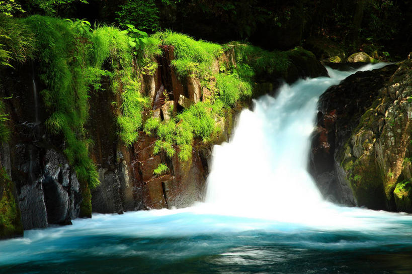 无人,横图,室外,白天,正面,旅游,度假,草地,草坪,河流,石头,美景,瀑布,水,植物,日本,亚洲,阴影,飞溅,溅,光线,石子,液体,影子,河水,景观,水滴,水流,娱乐,水珠,草,绿色,阳光,自然,享受,休闲,景色,放松,喷洒,自然风光,东亚,日本国,九州本岛,九州,九州岛,九州地方,熊本,熊本县,菊池溪谷,跌水,石块,岩石,彩图,菊池市
