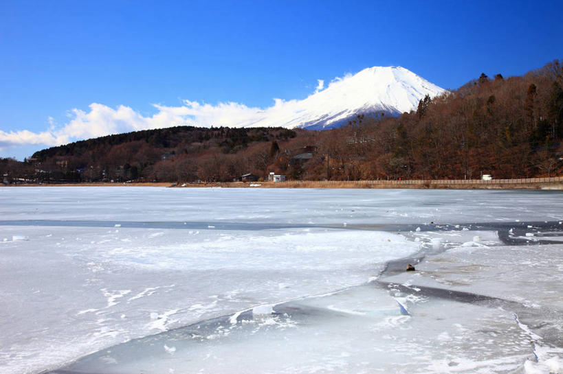 无人,横图,室外,白天,正面,旅游,度假,草地,草坪,湖,湖泊,火山,美景,秋季,山,树林,水,雪,雪山,植物,大雪,富士山,日本,亚洲,阴影,光线,影子,冰,湖面,积雪,景观,山峰,水流,水面,雪景,云,云朵,冬季,冬天,山峦,云彩,娱乐,草,树,树木,黄色,蓝色,白云,蓝天,天空,阳光,自然,湖水,天,享受,休闲,景色,放松,寒冷,生长,晴朗,成长,淡水湖,冰冷,自然风光,东亚,本州,本州岛,日本国,中部地方,山梨,山梨县,严寒,冰凉,酷寒,凛冽,凛凛,极冷,富士五湖,山中湖,活火山,晴空,秋,秋天,彩图,南都留郡,富士河口湖町