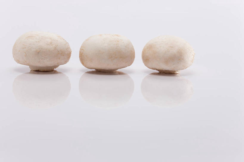 无人,横图,室内,特写,白天,白色背景,正面,餐桌,桌子,蔬菜,阴影,新鲜,反射,影子,菌菇,蘑菇,食品,菌类,食物,三个,白色,倒影,食用菌,摄影,有机食品,绿色食品,影棚,餐台,倒映,真菌,白蘑菇,洋蘑菇,草腐菌,二孢蘑菇,双孢蘑菇,反照,彩图,影棚拍摄,拍摄