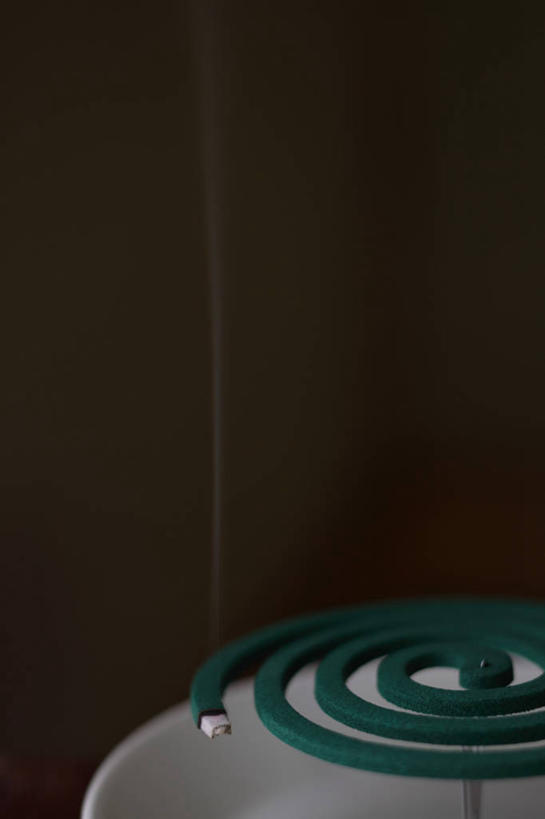 无人,竖图,室内,特写,白天,正面,静物,餐具,阴影,黑色背景,反射,碟子,螺旋,盘,蚊香,影子,烟雾,一个,盘子,碟,摄影,影棚,单个,盘香,彩图,影棚拍摄,拍摄,驱蚊物