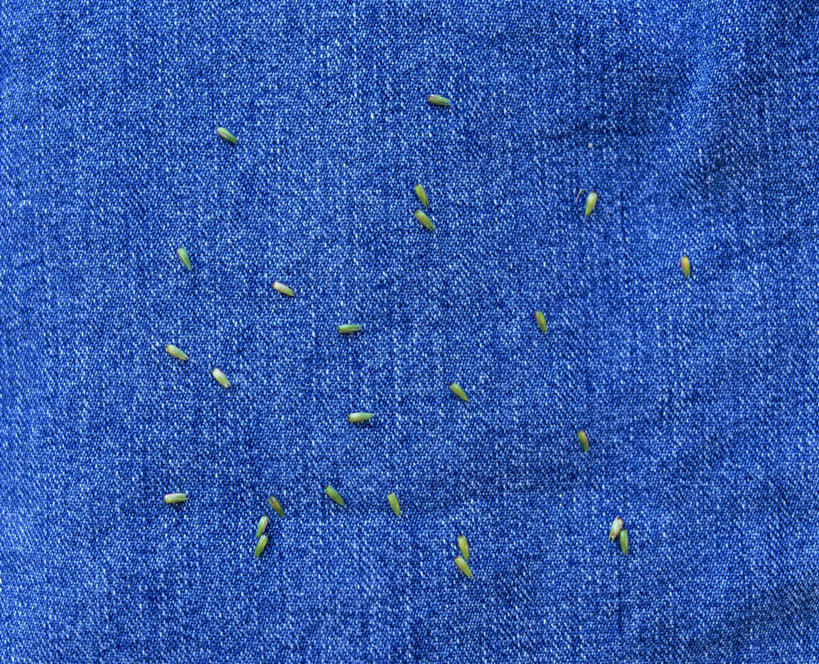 无人,横图,室内,特写,白天,正面,安全,阴影,蓝色背景,反射,药剂,影子,防护,绿色,药品,治疗,摄影,影棚,保护,药物,医疗,保险,预防,平安,彩图,影棚拍摄,拍摄