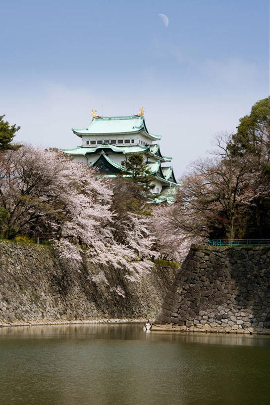 无人,竖图,室外,白天,仰视,旅游,度假,幸福,纯洁,河流,水,植物,标志建筑,地标,建筑,樱花,爱知县,名古屋,日本,亚洲,阴影,波纹,盛开,光线,瓦片,影子,堡垒,城堡,墙,屋顶,河水,水流,云,云朵,涟漪,花蕾,云彩,顶棚,瓦,娱乐,建设,墙壁,墙面,花,花瓣,花朵,鲜花,树,树木,蓝色,绿色,白云,倒影,蓝天,水纹,天空,阳光,自然,波浪,天,花苞,花蕊,享受,休闲,旅游胜地,放松,建造,生长,晴朗,成长,等待,倒映,生命,要塞,东亚,屋瓦,本州,本州岛,日本国,中部地方,水晕,爱知,仙樱花,福岛樱,青肤樱,高尚,县厅,名古屋市,热烈,反照,设防,晴空,荆桃,彩图,低角度拍摄,名古屋城