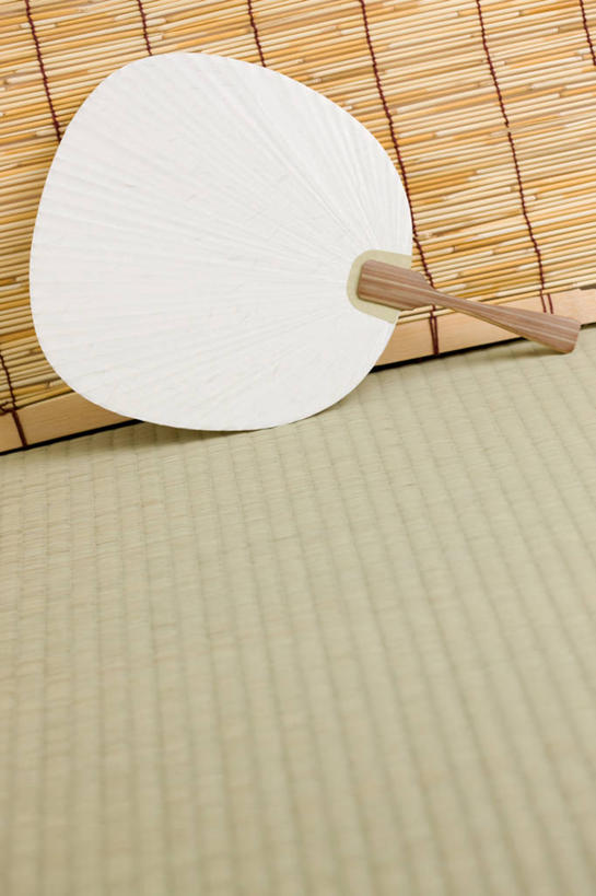 无人,竖图,俯视,室内,特写,白天,静物,一把,阴影,反射,扇子,席子,影子,地面,清凉,凉爽,文化,草席,彩图,高角度拍摄,和风扇,和风扇子,凉扇,传统文化