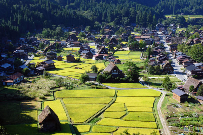 无人,家,木屋,农田,横图,俯视,室外,白天,旅游,度假,庄稼,农作物,美景,森林,树林,植物,日本,亚洲,阴影,光线,影子,景观,娱乐,住宅,树,树木,绿色,阳光,自然,享受,休闲,景色,放松,生长,成长,自然风光,东亚,本州,本州岛,日本国,中部地方,岐阜,岐阜县,彩图,高角度拍摄,耕地,庄稼田,茅舍,茅屋,棚屋,小木屋,小屋,大野郡,白川村