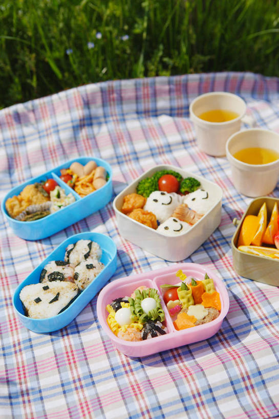 米饭,饭团,果汁,无人,竖图,俯视,室外,特写,白天,烹饪,草地,草坪,植物,蔬菜,西红柿,杯子,阴影,新鲜,光线,影子,坐垫,塑料,生菜,莴苣,日本料理,橙汁,料理,食品,饮品,饭,菜肴,美食,盒子,草,食物,饮料,绿色,阳光,容器,塑料制品,纸制品,日式料理,日式,笑容,佳肴,有机食品,绿色食品,储藏,纸杯,五谷,笑脸,甜橙,储存,可口,一次性杯子,野餐垫,野餐地毯,多功能毯,春菜,鹅仔菜,莴仔菜,千金菜,叶用莴苣,笑貌,适口,橙子,橙,洋柿子,柑仔蜜,番茄,臭柿,彩图,高角度拍摄,鹄壳,黄橙,黄果,金橙,金环,金球,糖橙,六月柿,贮存,喜报三元