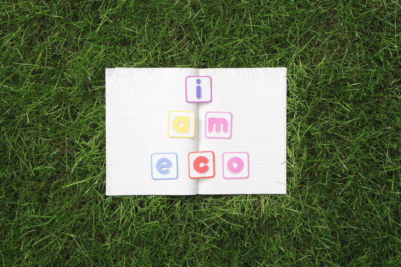 无人,横图,俯视,室内,特写,白天,绘画,草地,草坪,植物,新鲜,艺术,英文,标志,文字,字符,字母,古典,文化,标识,草,绿色,工艺品,品味,摄影,影棚,青春,英文字母,美术,高雅,生命,和平,安详,美学,冷色,儿童画,彩图,高角度拍摄,影棚拍摄,拍摄