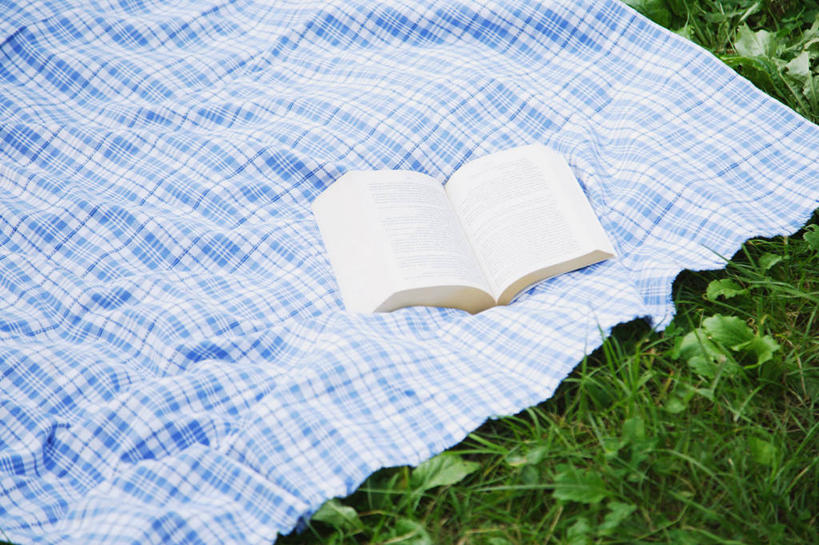 无人,横图,俯视,室外,特写,白天,草地,草坪,植物,书籍,一本,坐垫,草,绿色,书本,打开,翻开,野餐垫,野餐地毯,多功能毯,掀开,书,图书,彩图,高角度拍摄