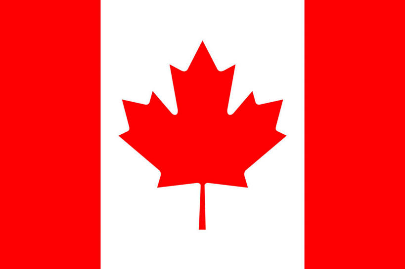 无人,横图,室内,特写,白天,正面,静物,旗帜,国旗,叶子,一片,枫叶,枯叶,落叶,红色,白色,枫树叶,加拿大国旗,叶,叶片,旗,彩图,枫叶旗