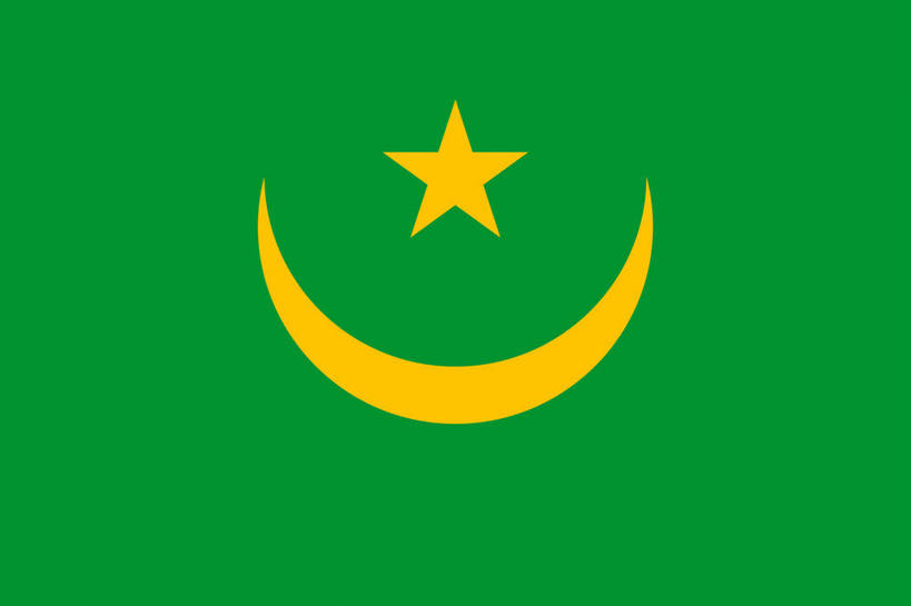 无人,横图,室内,特写,白天,正面,静物,旗帜,国旗,一面,月牙,星星,一颗,黄色,绿色,星形,五角形,月芽,新月,旗,五角星,彩图,毛里塔尼亚国旗,一轮