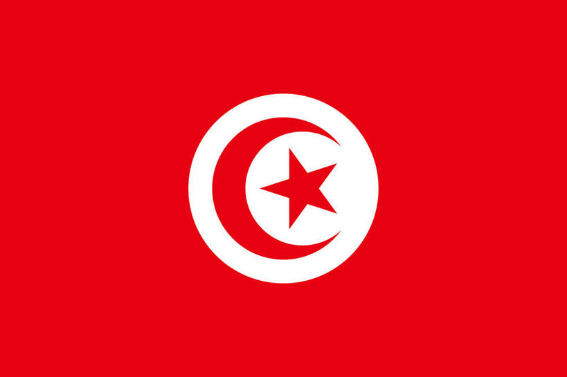 无人,横图,室内,特写,白天,正面,静物,旗帜,国旗,一面,圆形,图形,圆,月牙,星星,一颗,几何,红色,白色,星形,数学,五角形,月芽,新月,旗,五角星,彩图,几何图形,平面图形,突尼斯国旗,一轮