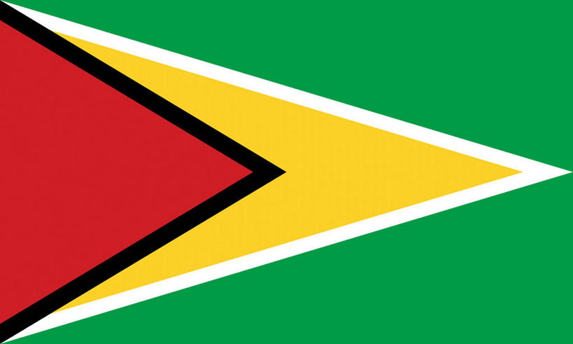 无人,横图,室内,特写,白天,正面,静物,旗帜,国旗,一面,三角形,图形,几何,黄色,红色,绿色,白色,黑色,数学,旗,彩图,几何图形,圭亚那国旗