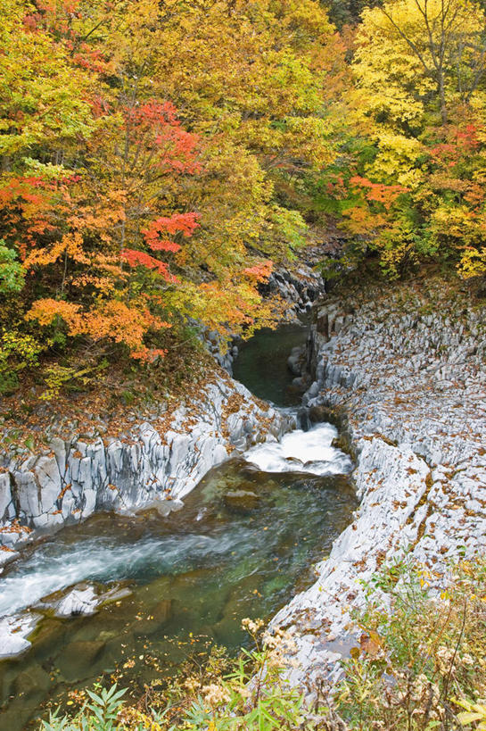 无人,竖图,俯视,室外,白天,旅游,度假,河流,石头,美景,树林,水,植物,日本,亚洲,一堆,许多,阴影,堆叠,堆积,飞溅,溅,光线,石子,液体,影子,河水,景观,水滴,水流,很多,娱乐,水珠,树,树木,绿色,小溪,阳光,自然,溪水,享受,休闲,景色,放松,生长,成长,堆,喷洒,自然风光,东亚,本州,本州岛,日本国,中部地方,岐阜,岐阜县,石块,岩石,彩图,高角度拍摄,中津川市
