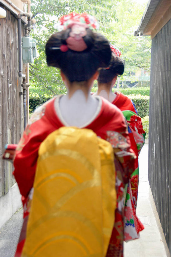 东方人,两个人,伙伴,朋友,家,走,竖图,室外,白天,民族服装,友谊,植物,亚洲,和服,装饰,头饰,房屋,屋子,黄种人,发簪,楼房,住宅,树,树木,背面,绿色,自然,发饰,饰品,瓦房,服饰,生长,成长,华丽,修饰,点缀,艺妓,配饰,吴服,唐草,唐花,唐锦,衬托,美观,雅致,雅观,簪子,艺伎,芸妓,芸者,友情,年轻女性,女人,女性,亚洲人,步行,散步,走路,半身,彩图,传统服装,民俗服,房子