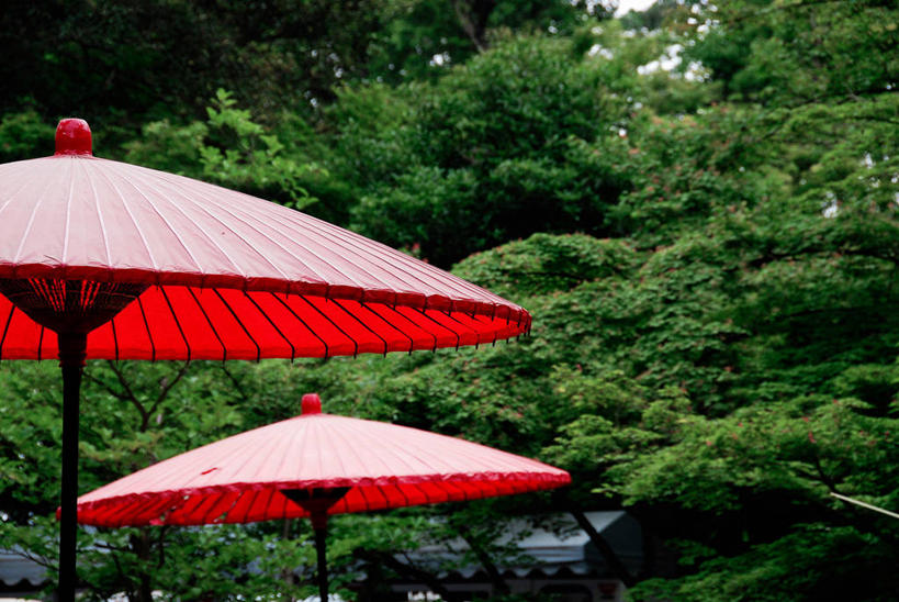 无人,横图,室外,特写,白天,正面,树林,植物,朦胧,模糊,装饰,伞,纸伞,两把,树,树木,红色,绿色,自然,生长,成长,华丽,修饰,点缀,小伞,衬托,美观,雅致,雅观,鸡尾酒伞,酒杯伞,伞签,彩图